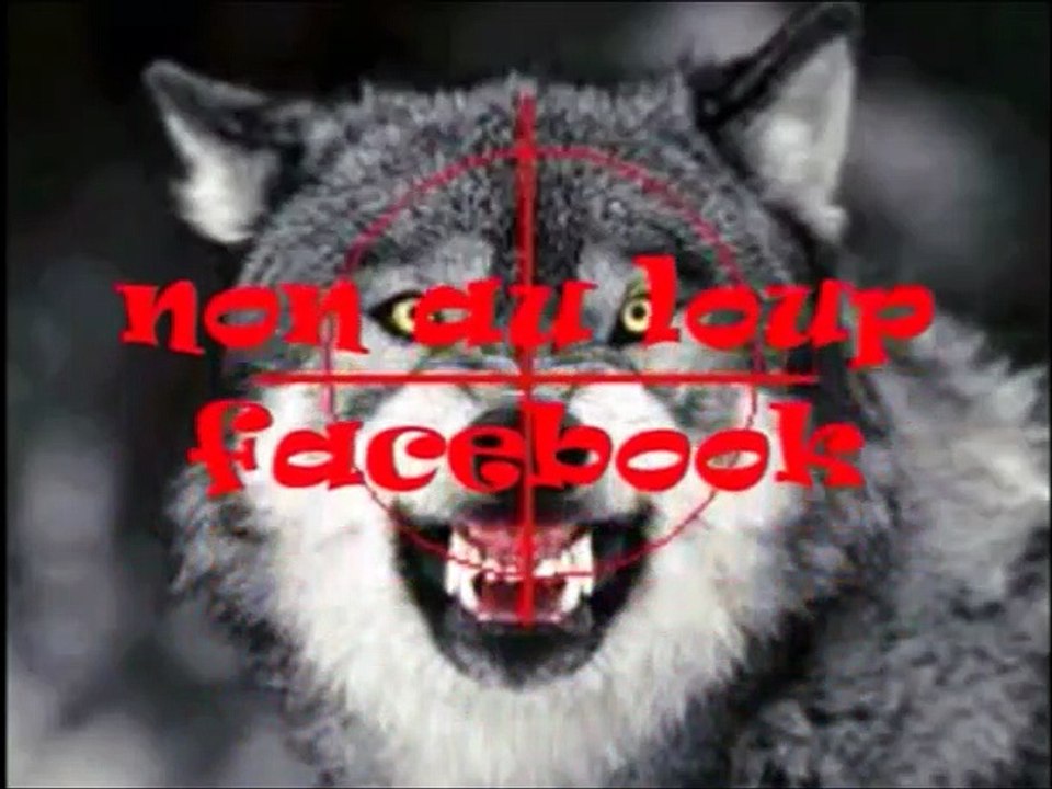 Plan loup