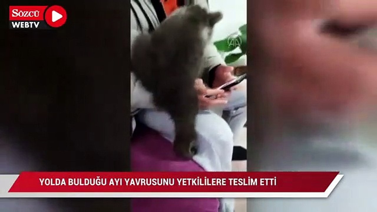 Yolda bulduğu ayı yavrusunu, bir gece evinde baktıktan sonra yetkililere teslim