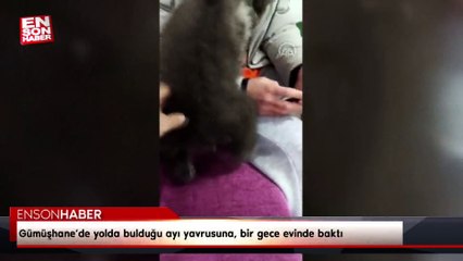 Gümüşhane’de yolda bulduğu ayı yavrusuna, bir gece evinde baktı