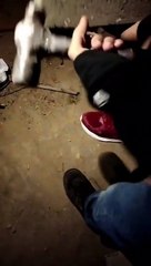 Rescuing a Puppy Stuck in a Cinder Block