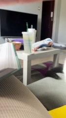 Silly Cat Thinks Drawing Is Real