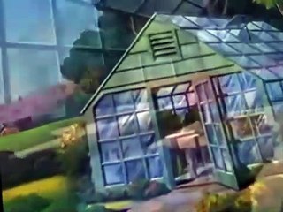 Donald Duck Donald Duck E124 Honey Harvester