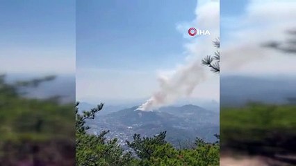 Güney Kore'nin başkentinde orman yangını: 120 ev tahliye edildi