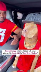 Comedy video dog dance video !  very funny video  !