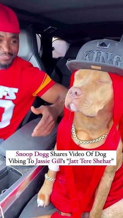 Comedy video dog dance video !  very funny video  !