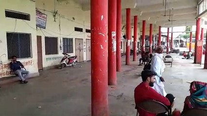 Passengers running away from waiting room due to fear of cattle
