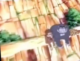 Noah's Island Noah’s Island S02 E011 Aye-aye Captinski