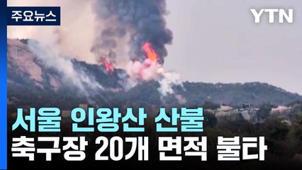 인왕산 산불...서울 산불로는 올해 첫 '대응 2단계' / YTN