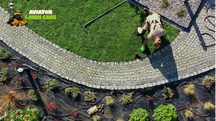 Aviator Lawn Care
