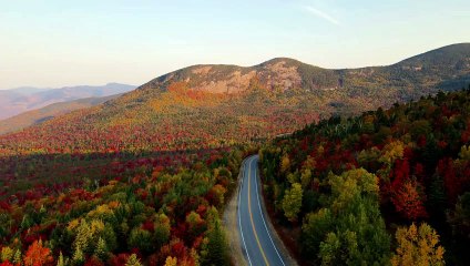 Foliage landscape Drone shot