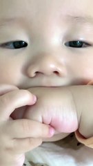 Babies Funny Moments | Cute Babies | Naughty Babies | Funny Babies #babies #baby #beauty #cutebabies