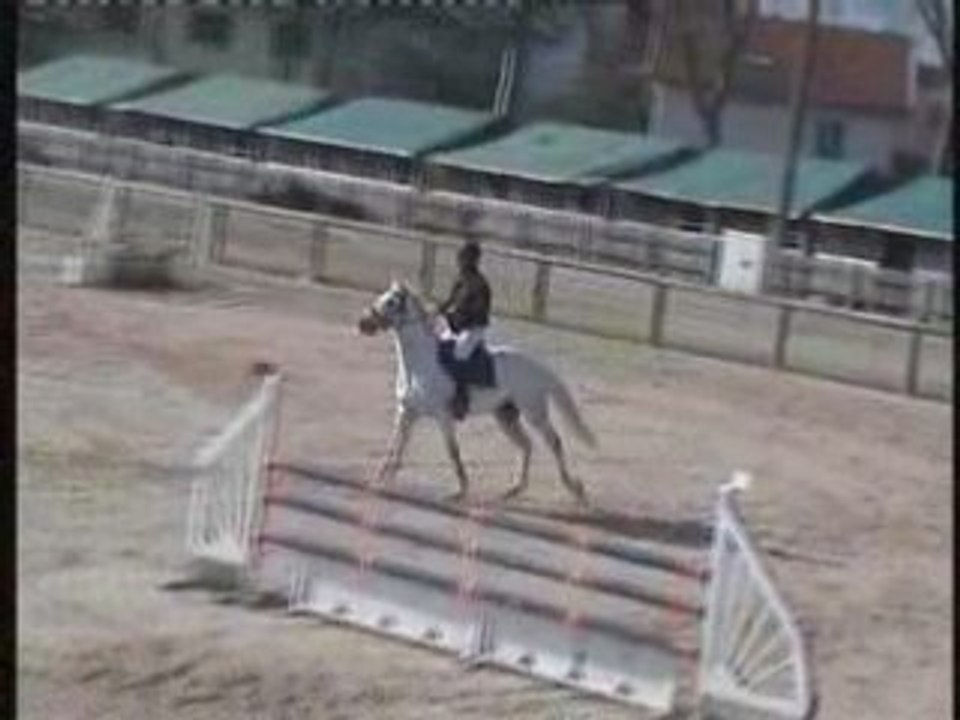 Olympe Lent 6 ans 2008
