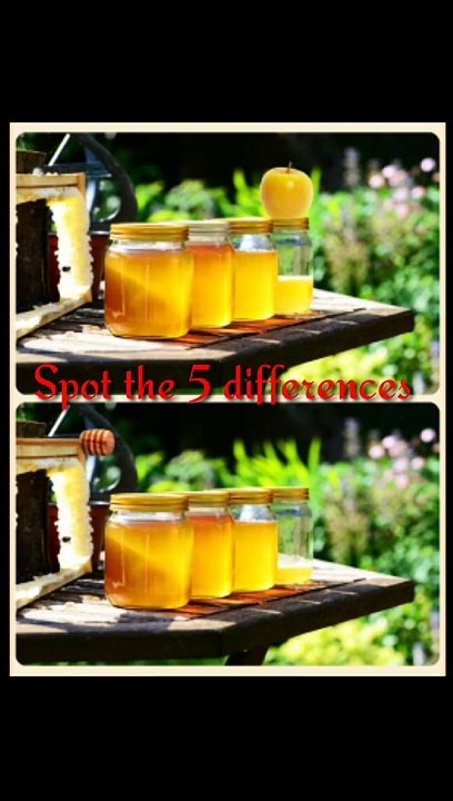 Spot the 5 differences with answer tasty honey puzzle #shorts #spot #puzzle By Mr Nuruddin