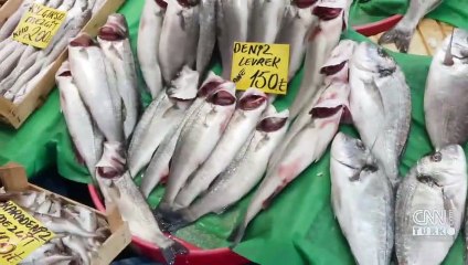 Balık tezgâhları bereketlendi