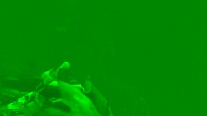 How To Eliminate The Stress | Stress ko kaisy khatum Kya jaye | ZF Psychologist