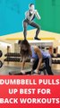 DUMBBELL PULLS UP BEST FOR BACK WORKOUTS