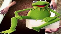 Professional Narrator Tries to Read Kermit x Reader Fanfiction (Regretful Reads Reupload)