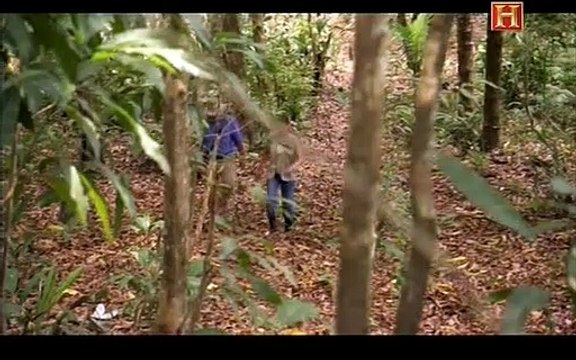 Documental Buscando La Verdad Las Ciudades Perdidas Del Amazonas