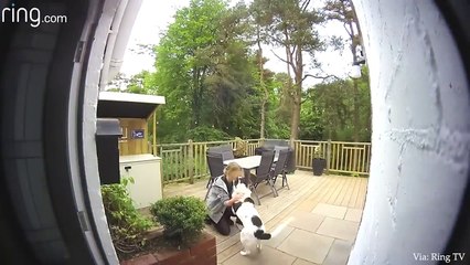 When Animals Showing Love to Human by Their Cute Way