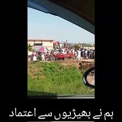 Dailymotion viral government free aata with Urdu poetry Urdu shayari