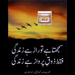 Dailymotion viral video Urdu shayari Urdu poetry Urdu adab