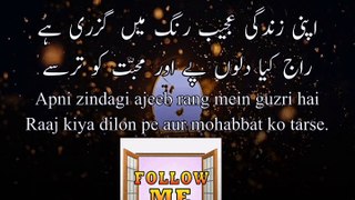 Dailymotion viral poultry quotes short