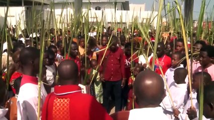 شاهد: المسيحيون ينظمون مسيرات أحد الشعانين في ساحل العاج