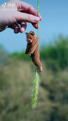 Adorable kid enjoying time with fun and smile