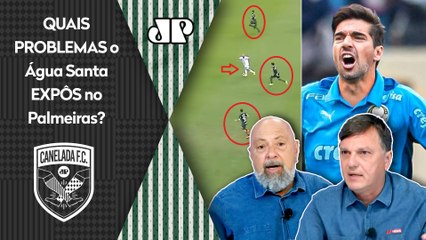 "Gente, esse é um PROBLEMA EVIDENTE do Palmeiras! O Abel Ferreira tem que..." VEJA esse ÓTIMO DEBATE