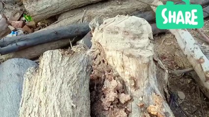 My first blog entertainment video  Jane bhi