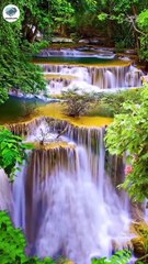 Surah Rahman: Qur'an recitation