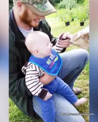 Funniest Baby Playing with Animals - Funny Baby and Pet