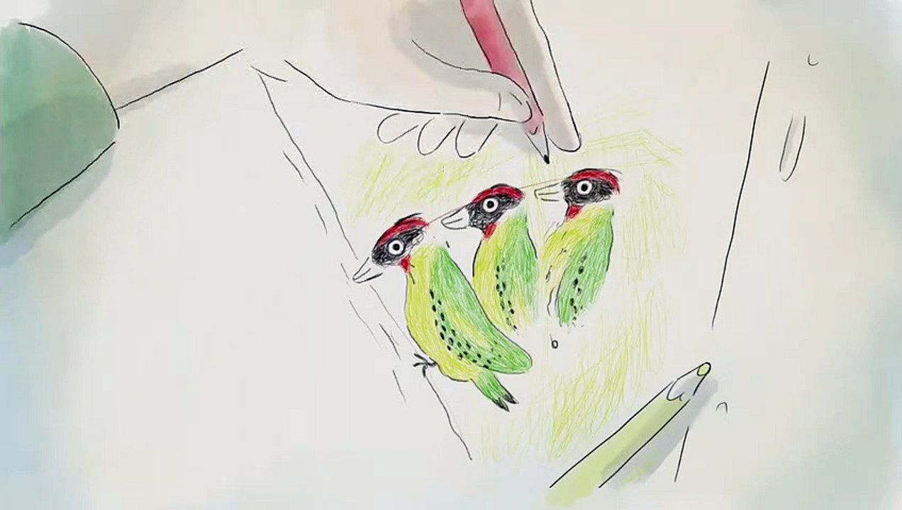 À Vol d’oiseaux Bande-annonce (FR)