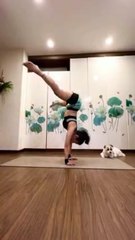 HANDSTAND POSE - LidiYoga
