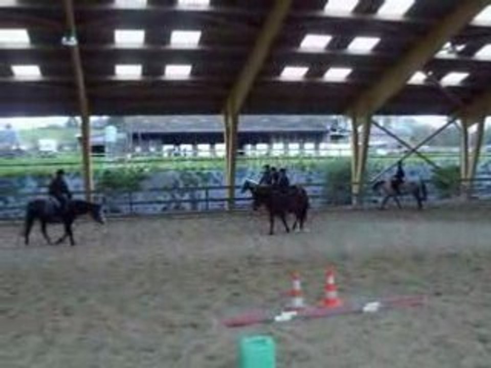 IMGP2585
