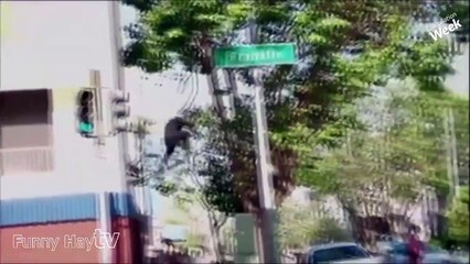 Funny videos 2015   Best funny videos   Funny girls   Funny pranks   Fails compilation 2015#2