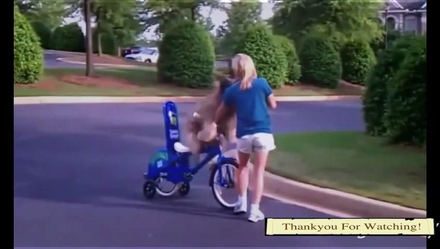 Funny Videos - Funny Fails - Funny Dog - Funny Clips - Funny Pranks 2015 #1