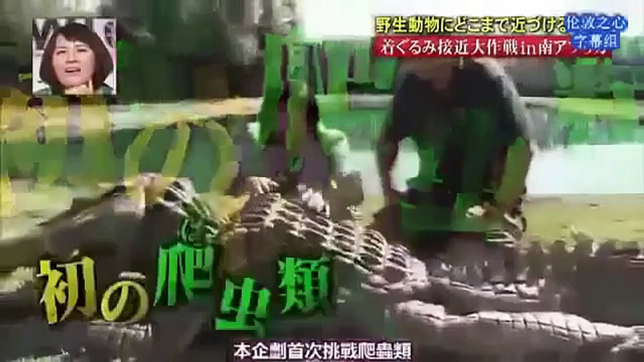 [Engsub] Funny Japanese Pranks Humans vs Crocodile