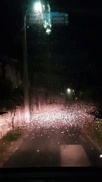 Butterflies invade a village Des papillons envahissent un village