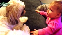 Bébés drôle parlent aux chiens