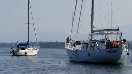 An orca plays with a boat (Canada)   Une orque s'amuse avec un bateau (Canada)