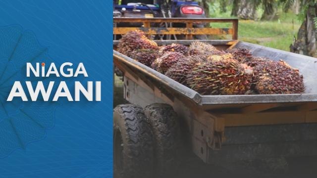 Niaga AWANI: Niaga hadapan MSM dijangka diniagakan dengan kecenderungan meningkat minggu ini