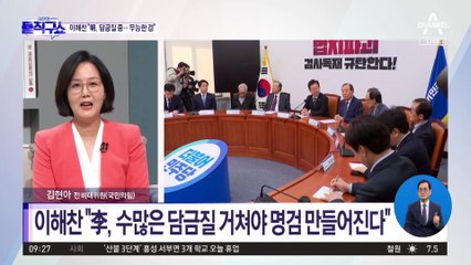 이해찬 “이재명, 담금질 중…검찰 무능”