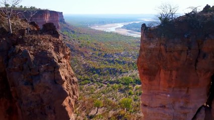 Secrets of the Elephants | Official Trailer | National Geographic