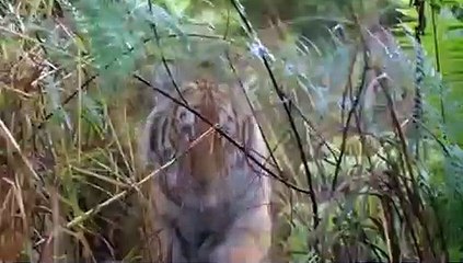 BeastMaster (19992002) - S03 E6