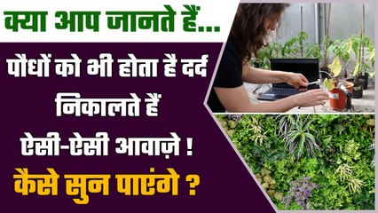 Plants भी तकलीफ में जोर-जोर से चीखते हैं, निकालते हैं Ultrasonic Sound | वनइंडिया हिंदी