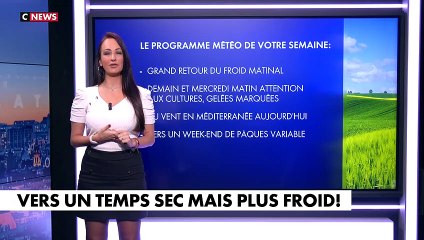 Alexandra Blanc sur CNews (03/04/2023)