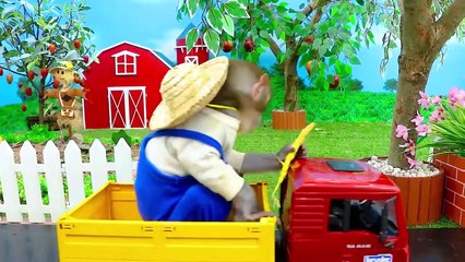 Baby Monkey Kiki membuat Rainbow Watermelon Jelly sangat enak - Kartun Lucu - Hewan KIKI Channel