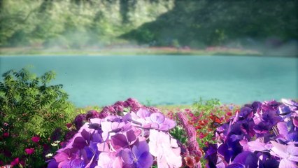 The Land of Miracles 28