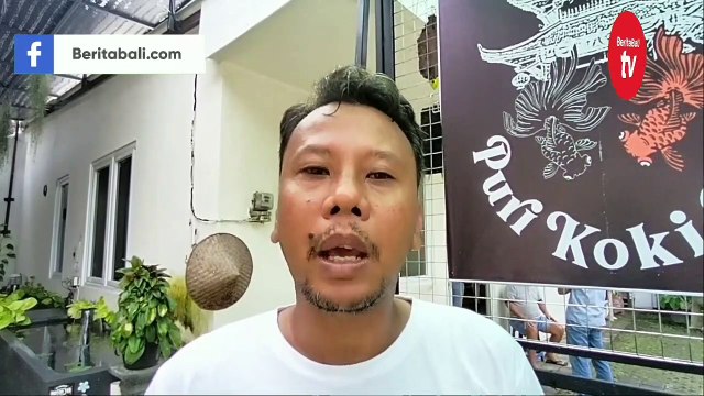 Budi Daya Ikan Hias Koki Kontes di Bedahulu Denpasar